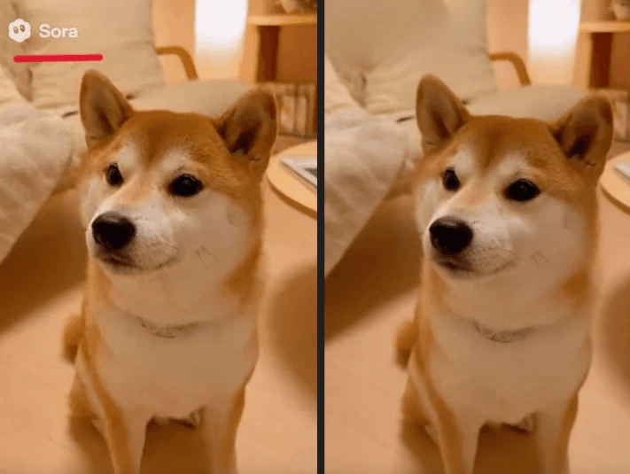 Free Sora Watermark Remover — The Ultimate Free Guide (2025)